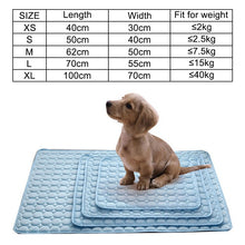 Load image into Gallery viewer, Pet Summer Cooling Mat