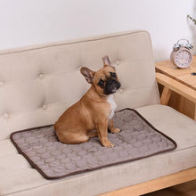 Load image into Gallery viewer, Pet Summer Cooling Mat