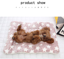 Load image into Gallery viewer, Fluffy Breathable Coral Blanket - Grey with Bear