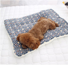 Load image into Gallery viewer, Fluffy Breathable Coral Blanket - Blue Stars