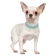 Load image into Gallery viewer, Bling Rhinestone Flowers Leather Collars For Small Medium Dogs Cats