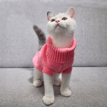Load image into Gallery viewer, Warm Knitted Sweater for Puppy and Kitten