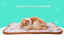 Load image into Gallery viewer, Winter Warm Thick Coral Fleece Blanket / Mat / Sleeping Bed For Small Medium Cats Dogs