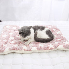 Load image into Gallery viewer, Fluffy Breathable Coral Blanket - Pink Lamb
