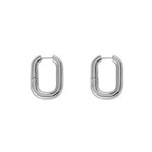 Load image into Gallery viewer, Thick Hoop Earrings