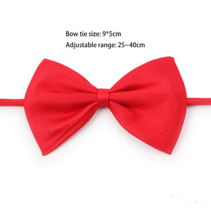 Plain Bow Tie Collar for Cat Dog
